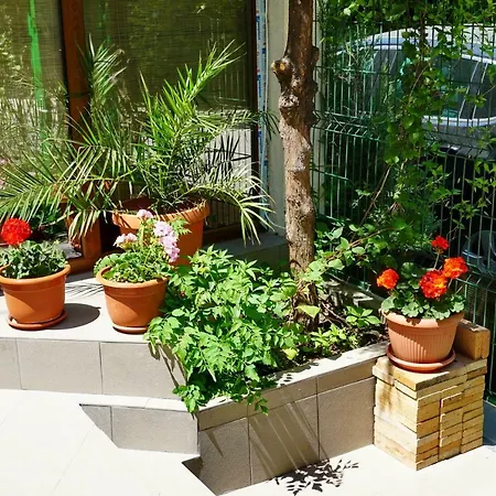 Casa Eden إيفوري نورد