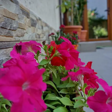 بيت ضيافة Casa Eden *