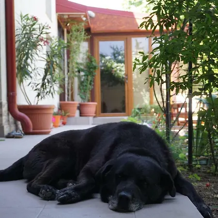 Casa Eden Casa de hóspedes